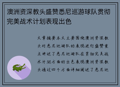 澳洲资深教头盛赞悉尼巡游球队贯彻完美战术计划表现出色