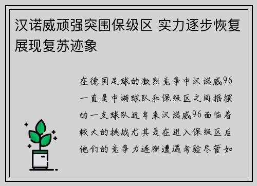 汉诺威顽强突围保级区 实力逐步恢复展现复苏迹象