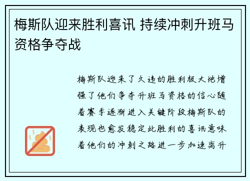 梅斯队迎来胜利喜讯 持续冲刺升班马资格争夺战
